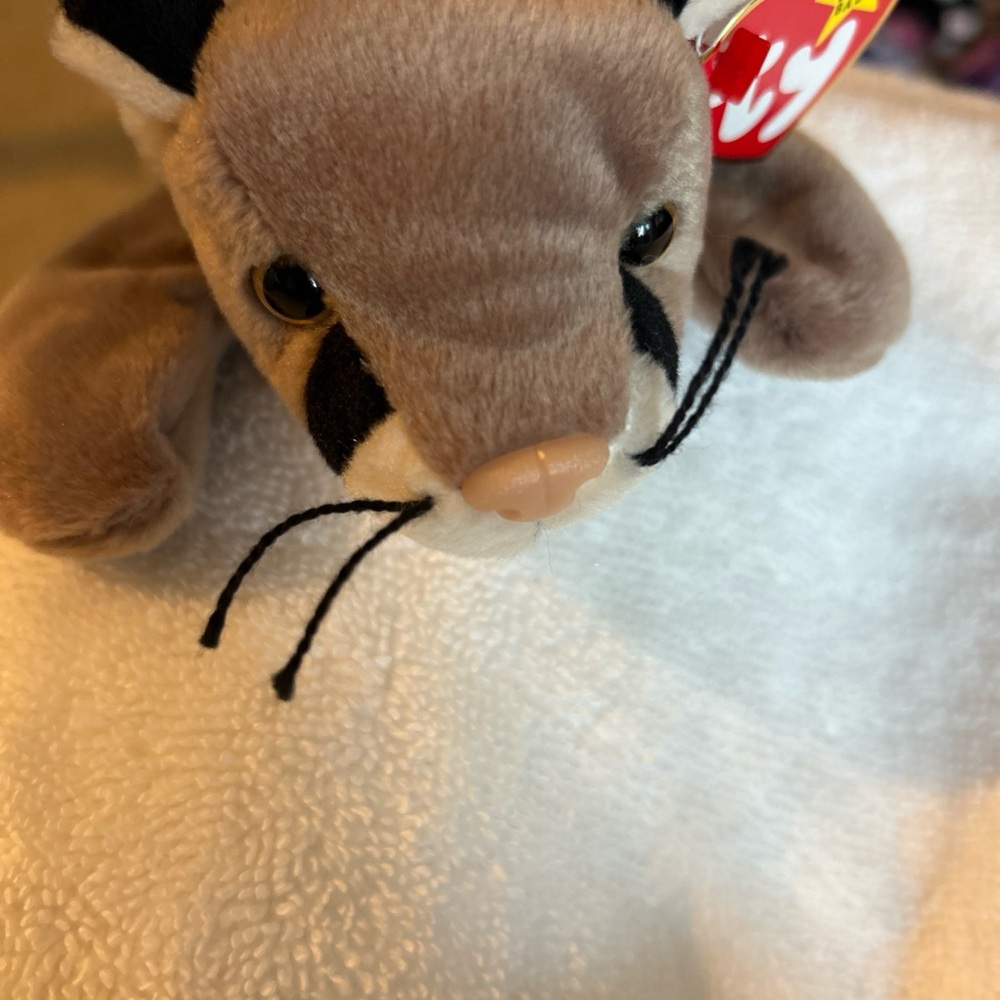 Ty Beanie Baby - “Canyon”